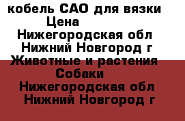 кобель САО для вязки › Цена ­ 10 000 - Нижегородская обл., Нижний Новгород г. Животные и растения » Собаки   . Нижегородская обл.,Нижний Новгород г.